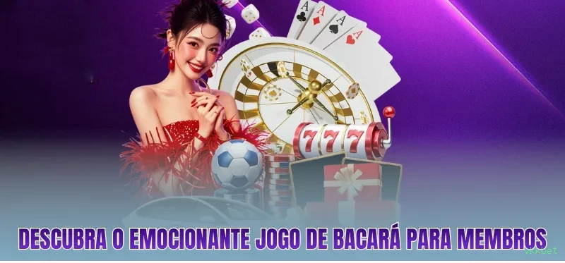 Imagem promocional do programa VIP da vkkbet